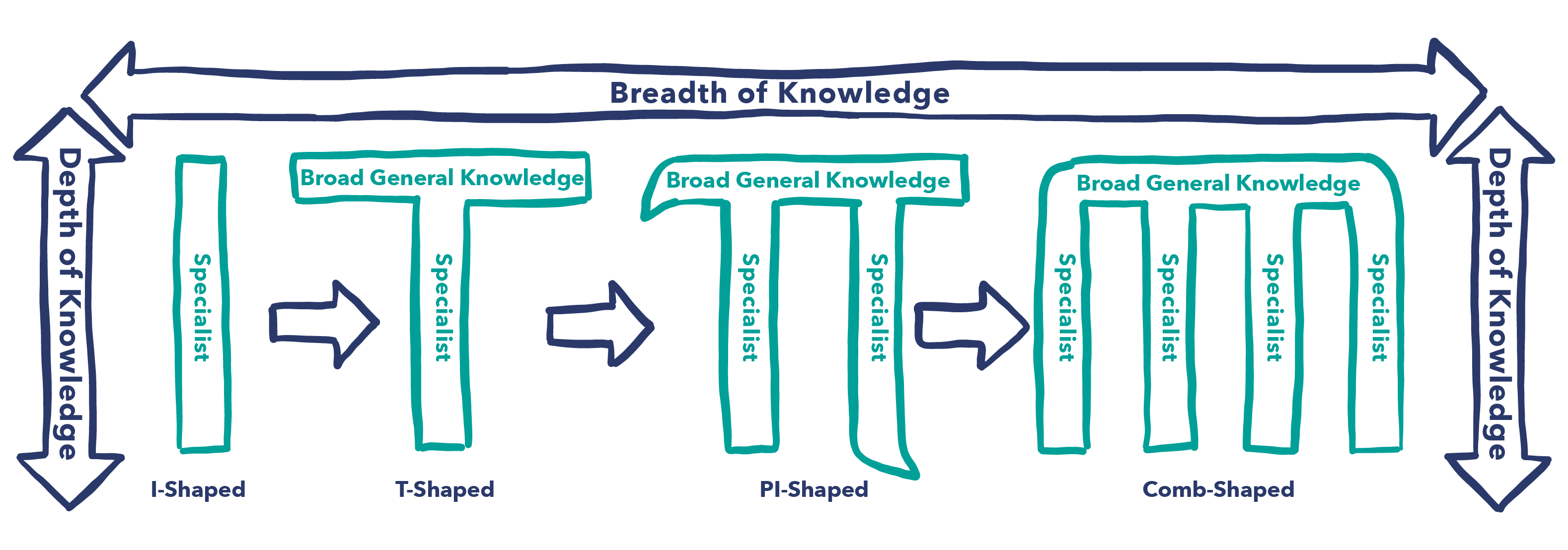 I-Shape to Comb-Shaped Professionals