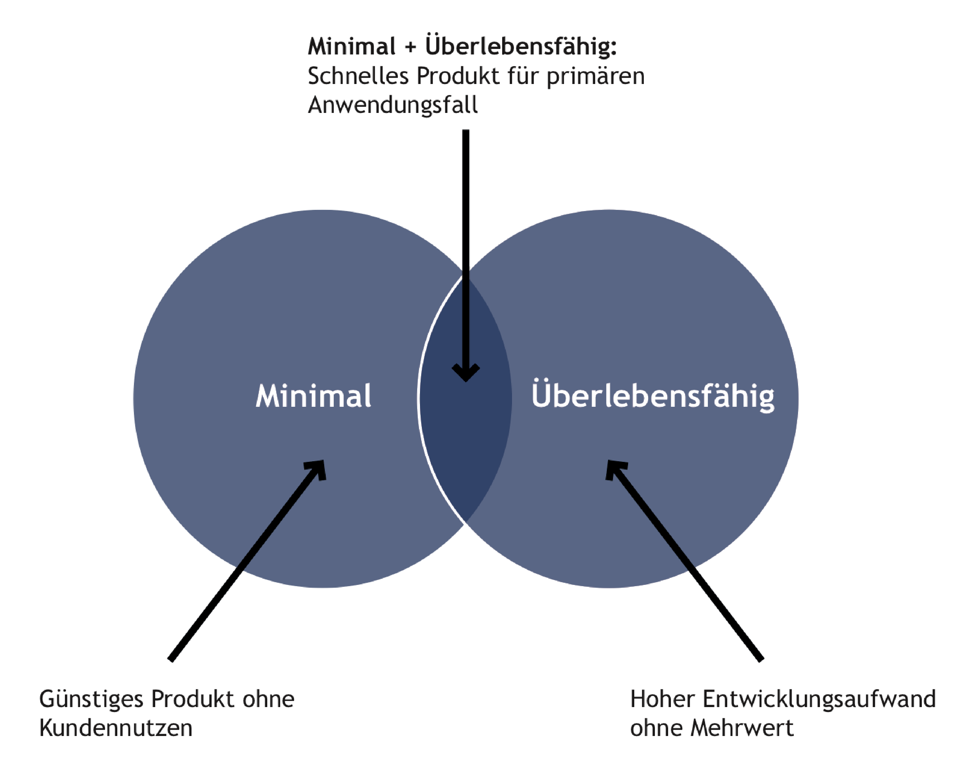 Schema minimal überlebensfähiges Produkt